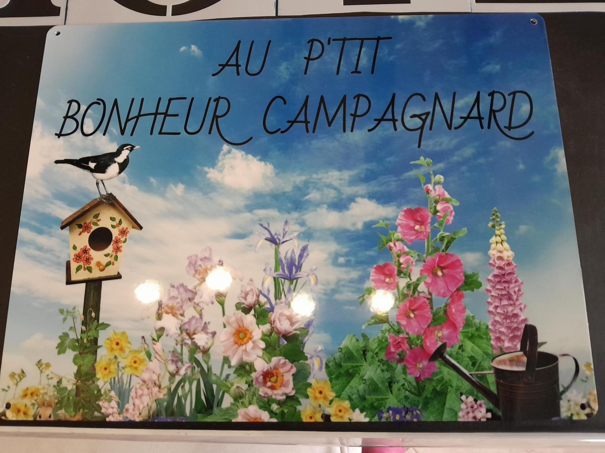 Chambres D Hotes Au P'Tit Bonheur Campagnard Jarnosse 外观 照片