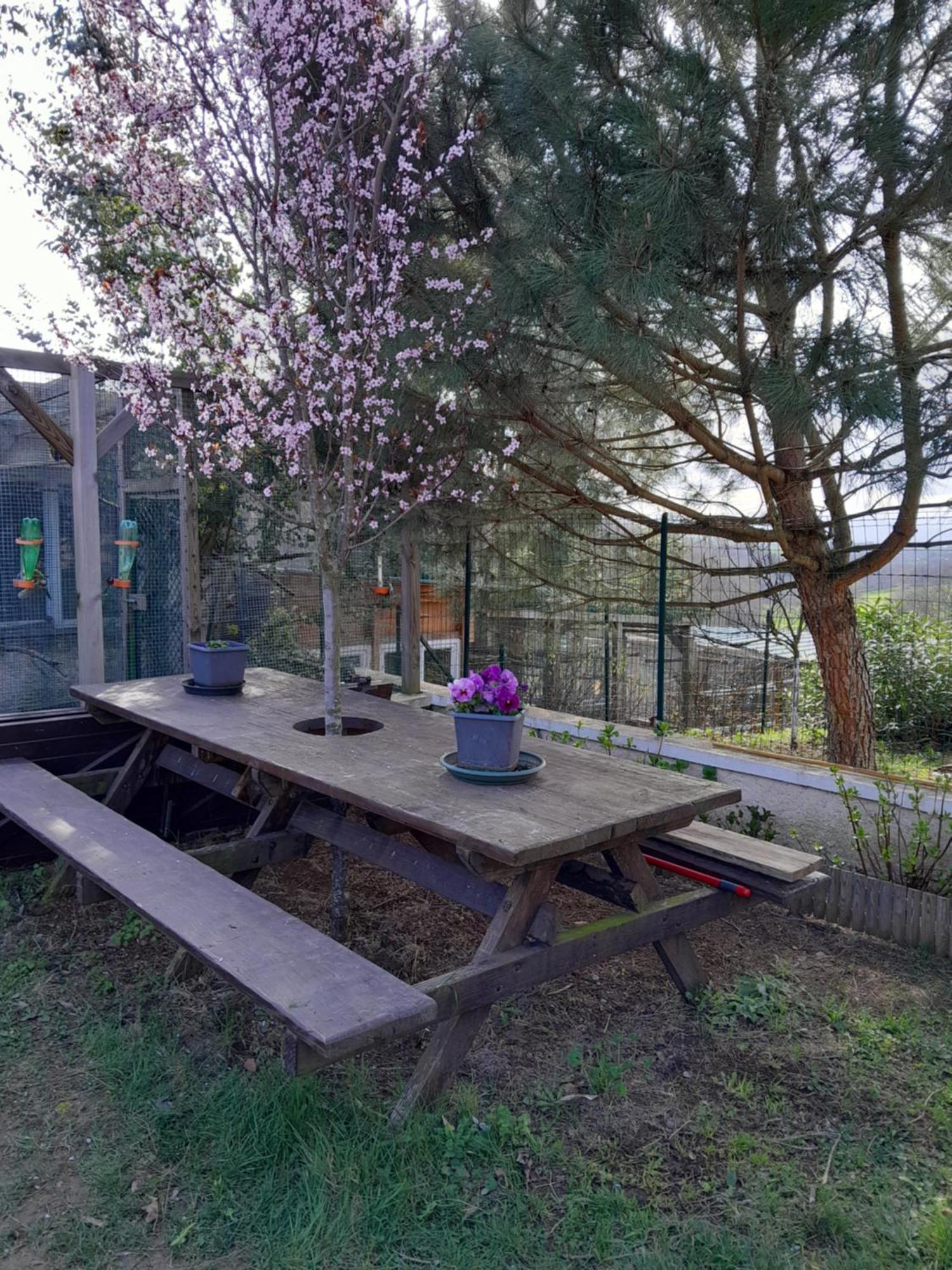 Chambres D Hotes Au P'Tit Bonheur Campagnard Jarnosse 外观 照片